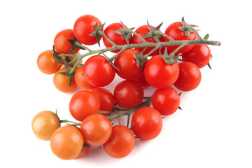 tomato cherry