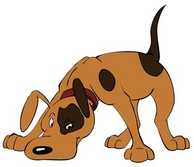 the brown dog searches for a trace