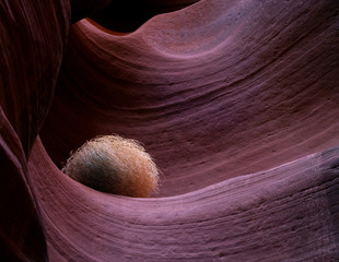 Antelope Canyon