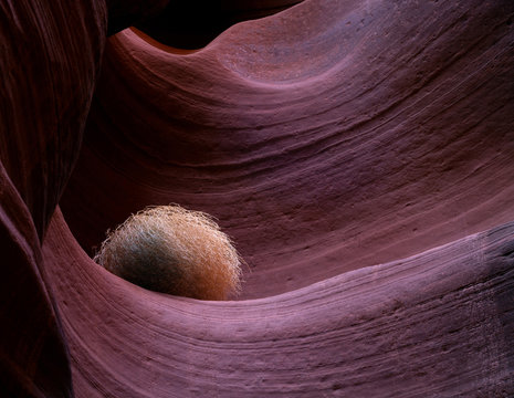 Antelope Canyon