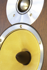 Speaker close up