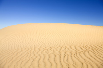 Fototapeta na wymiar Desolate Sand Dune Desert