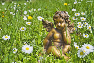 Angel in grass