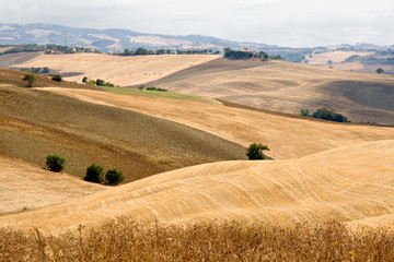 Fototapeta na wymiar Beautiful Tuscany landscape in summer
