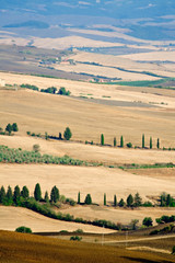 Beautiful Tuscany landscape in summer