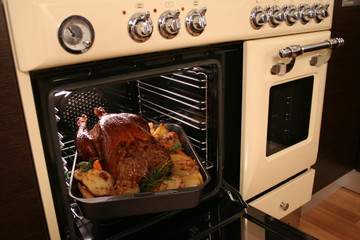 Turkey Roast