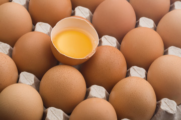 Raw brown eggs in an egg carton