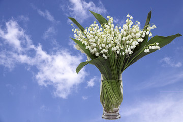 lily of the valley