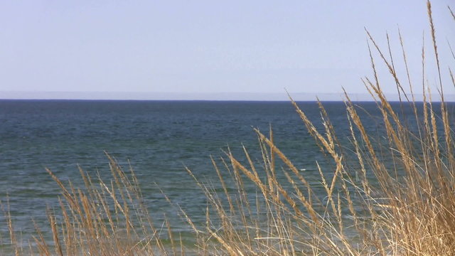 Dune Grass at Lake Michigan