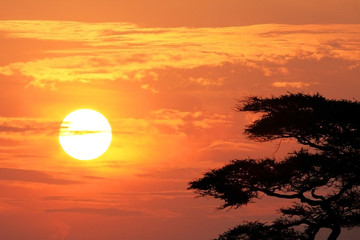 amanece en Serengeti