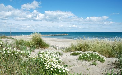 Plage au printemps 3