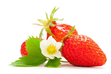 fraises, fleur et feuille - fruit rouge détouré sur fond blanc