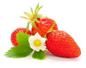 fruit frait, fraise feuille et fleur isolée sur un fond blanc