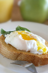 Poached Egg on Toast