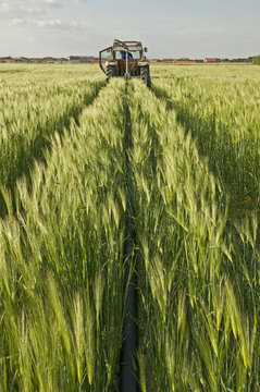 agriculture 8