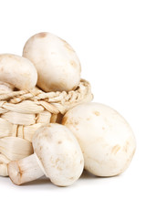 Fresh appetizing mushrooms