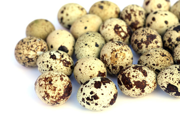 Fototapeta premium oeufs de caille