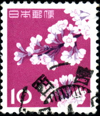 Cerisier en fleur. Timbre postal oblit&eacute;r&eacute;.