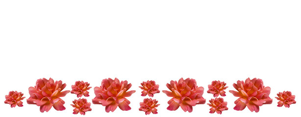 mothers day roses card border