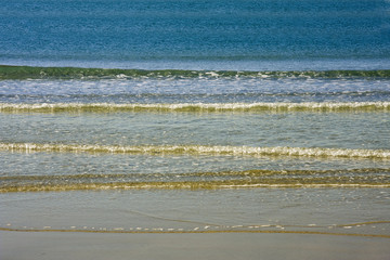 olas