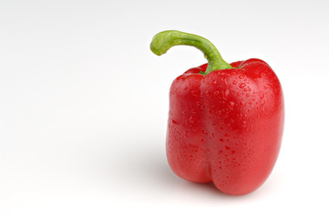 red pepper_04