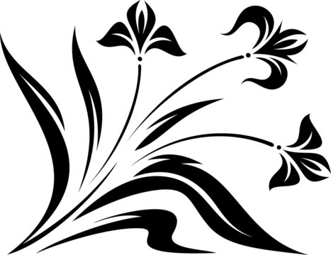 Original Vector Floral Ornament