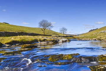 River Wharfe scenic