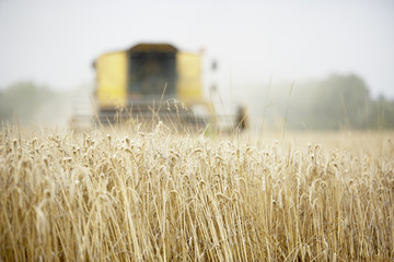 Combine Harvester Working In Field