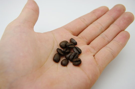 手のひらコーヒー豆
