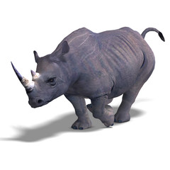 Rhinoceros Rendering