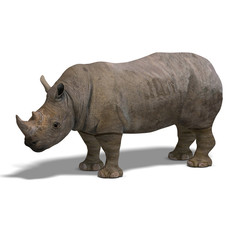 Obraz premium Rhinoceros Rendering