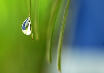 Goutte d'eau