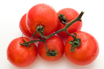 tomatoes with water drops