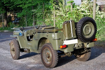 Fototapeta premium willys28