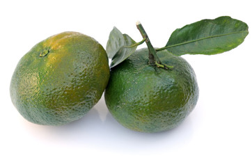 deux mandarines issues de l'agriculture biologique