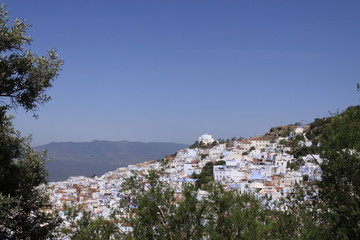 Chefchaouen, la ville bleue du Maroc