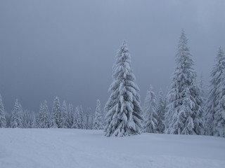 Beskidy_zimą_5 © GKor