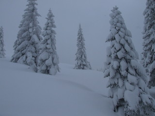 Beskidy_zimą_4 © GKor