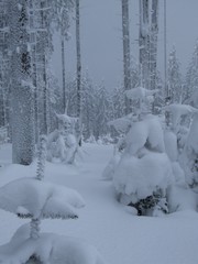 Beskidy_zimą_3 © GKor