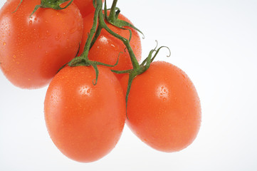 Tomate