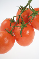 Tomate