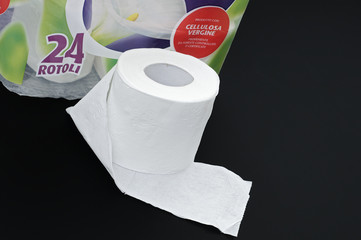 rotolo di carta igienica