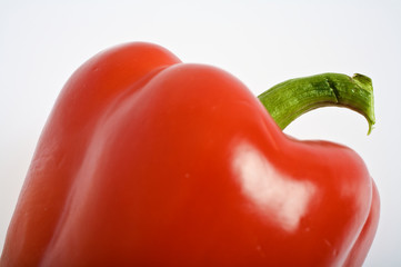 Paprika