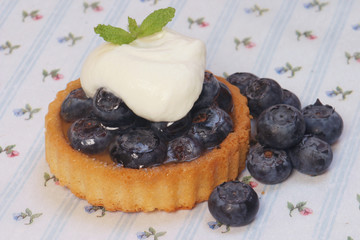 Blueberry Tartlet