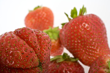 Erdbeeren