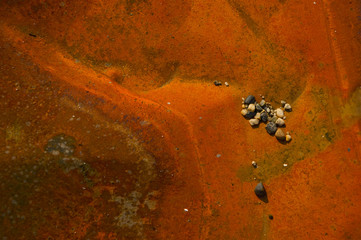 Rusty hood of old truck. Focus on a group of pebbles.