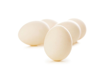 Eggs on white - shallow depth of field