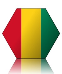 guinee drapeau hexagone guinea flag