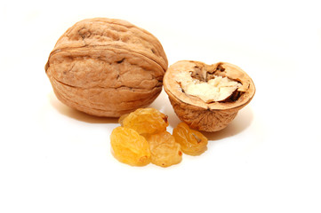 Walnut on white background