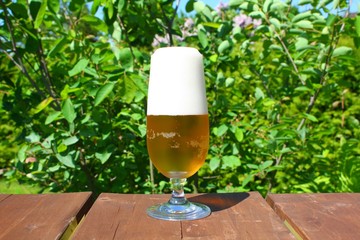 pils frisch gezapft III